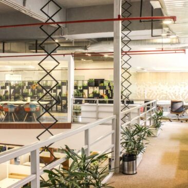 12 Reasons Why Modern Office Spaces Need to Reconnect with Nature