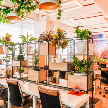 6 Reasons Why Coworking Spaces Are Important
