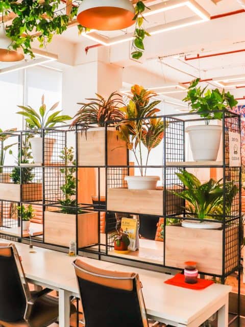 Top Reasons Why Coworking Spaces Are Important