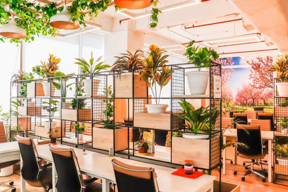 Top Reasons Why Coworking Spaces Are Important