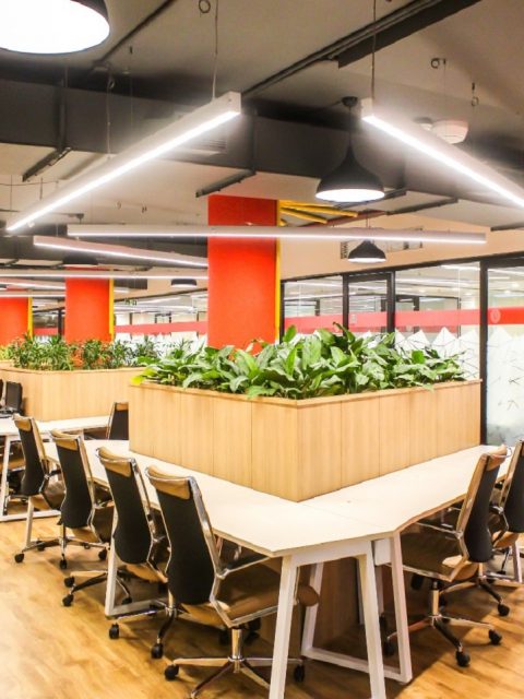 The trend of Flexible Coworking or Shared Office Space
