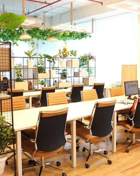Coworking Office Rental Trends in Gurgaon or Gurugram